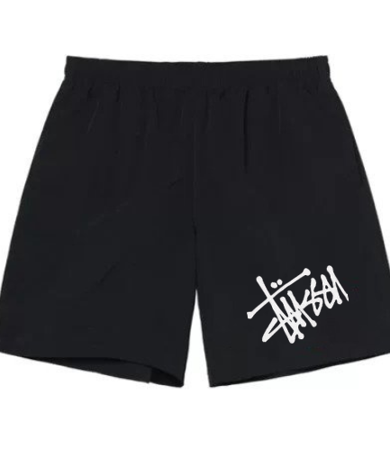 STÜSSY BASIC SHORT